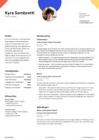 CV Template