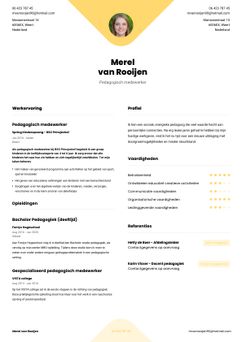 Kies voor template Yale en maak een professioneel cv