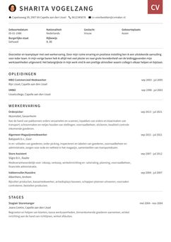 Kies voor template Otago en maak een professioneel cv